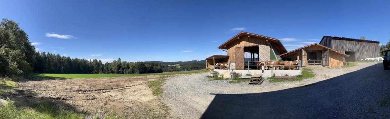 Landgasthof Blasini - Pfahlhof Zandt Exterior photo